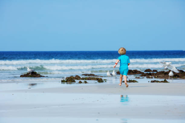 istock Little blond boy run after seagull on the sand ocean beach 1455934550