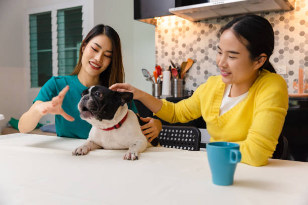 istock Friends playing with their pet dog at home in kitchen. 1455938206