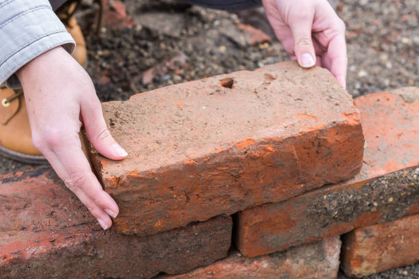 istock Building your own living space 1455938852