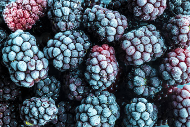 istock Ripe frozen blackberries as background. Fruit pattern. Top view. 1455941594