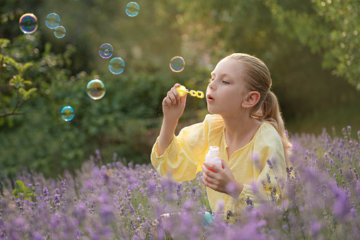 Beautiful little girl catches soap bubbles in a field with lavender