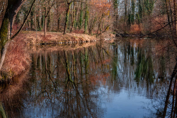 istock Mesmerizing view of a calm lake surrounded by autumn trees 1455943366