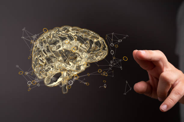 istock Illustration of a hand holding a human brain 1455944562