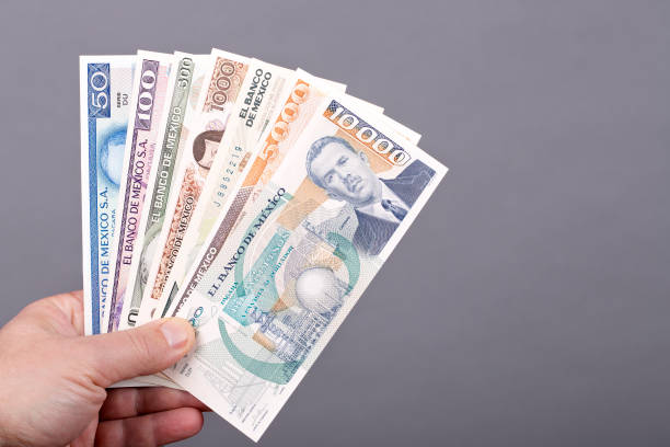 istock Old Mexican money in the hand on a gray background 1455946210