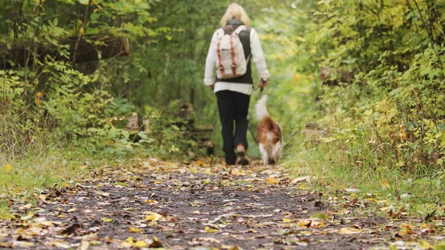 Woman out for a walk in the woods with her dog