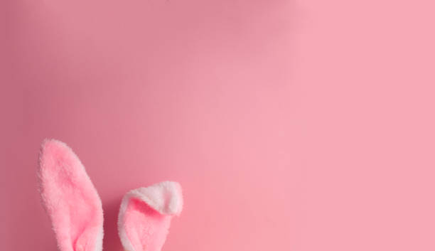 istock Cute rabbit ears protrude from the border on a pink background copy space 1455954859