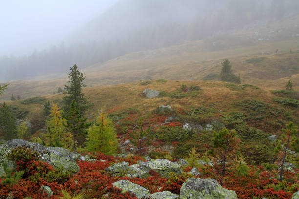 istock Ethereal autumn cloud on the mountain 1455955216