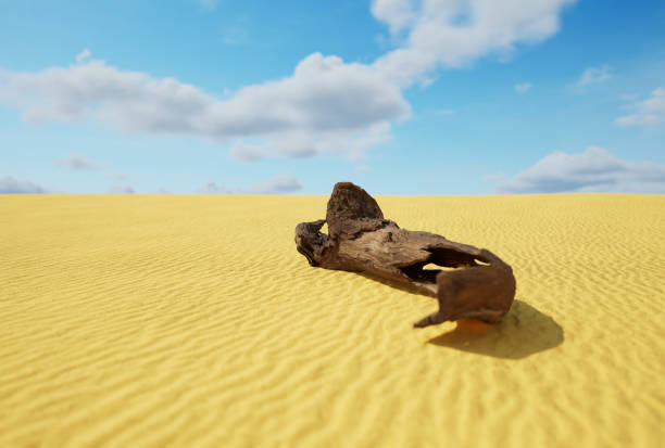 Dunes of Desert and dead wood 3d rendering