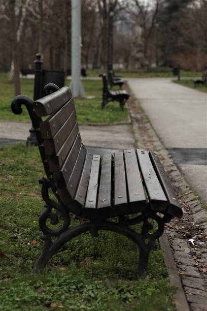 istock dark brown park bench, no people 1455959017