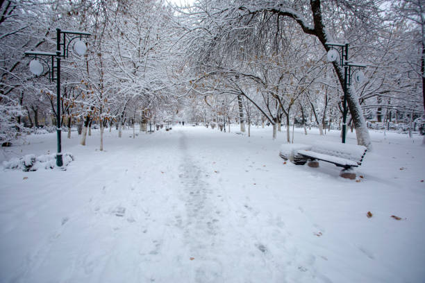 The boulevard of Samarkand covered with snow.