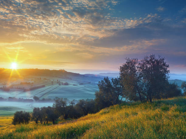 istock Sunrise in Tuscany 1455960334