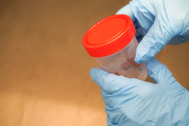 2.100+ Heces Laboratorio Fotografías de stock, fotos e imágenes libres de derechos - iStock