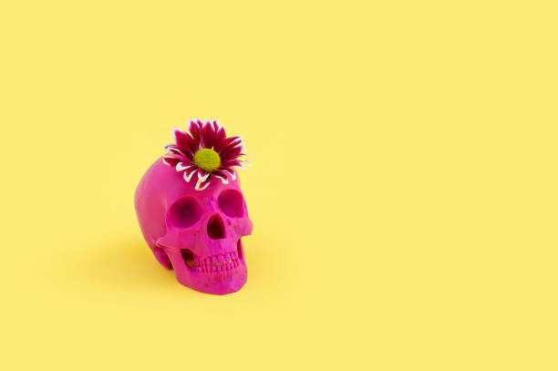 istock Pink decorative skull with flower isolated on a yellow background 1455961910