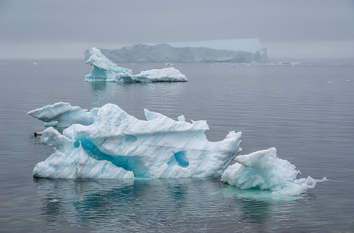 iceberg floating on water in the arctic sea in a foggy day