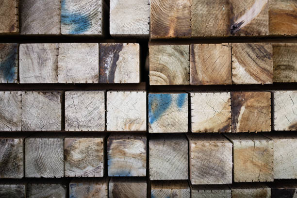 istock Lots of wood with preservatives applied 1455963645
