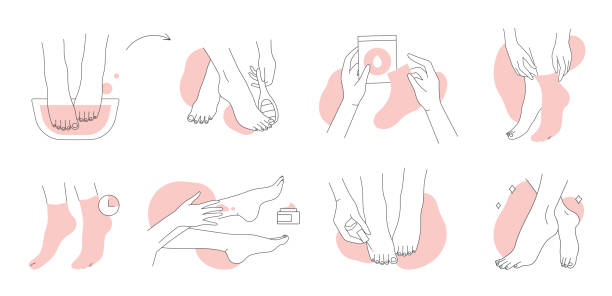 선 아이콘의 발 관리 세트, 물로 목욕하는 발, 미용실의 스파 트리트먼트 - human leg smooth human skin human foot stock illustrations
