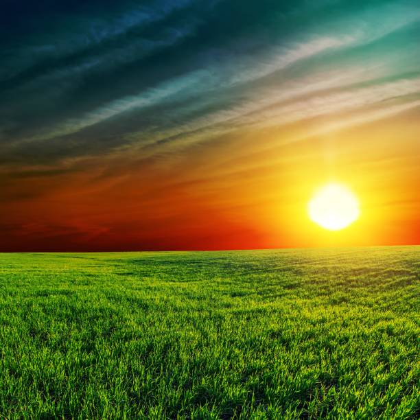 istock orange sunset over green field 1455965050