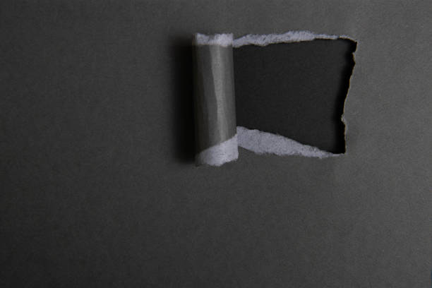 istock Black and white color torn paper 1455966160