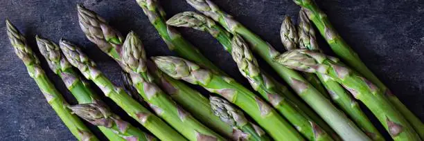 Green asparagus on a dark background. Raw food concept. The vegetable is rich in fiber, a natural prebiotic.