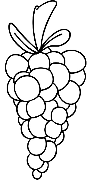 Line Drawing Quirky Cartoon Bunch Of Grapes Stock Illustration - Download  Image Now - Art, Art Product, Bizarre - iStock
