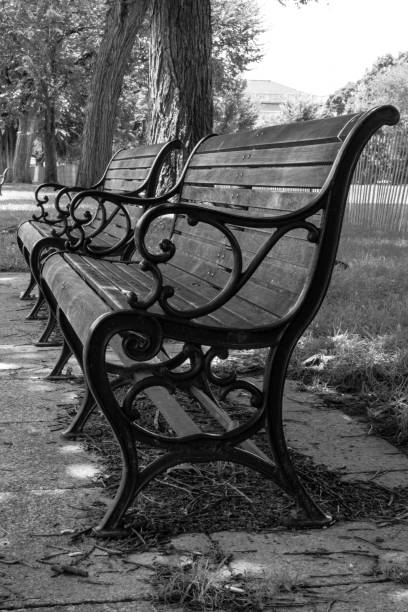 istock Park bench on the National Mall, Washington, DC 1455971990
