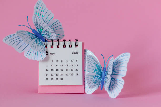 istock Calendar for May 2023 on a pink background with butterflies. 1455976674