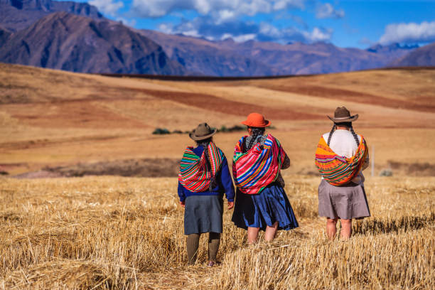 перуанские женщины в национальном поле пересечения одежды, священная долина - altiplano стоковые фото и изображения