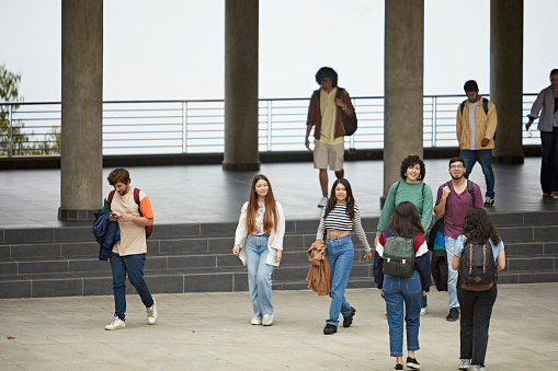 Group Of Multiracial Students Walking Smiling To Camera Near University Building Outside. College Education Concept