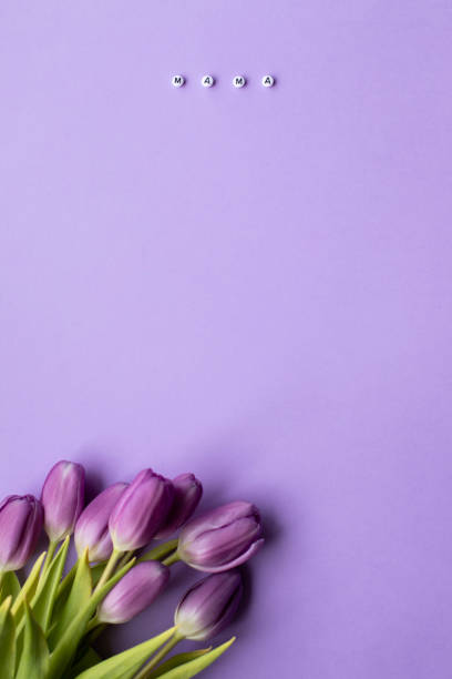 istock Spring tulip and text mother in russian laid out of multi-colored cube on violet background 1455980732