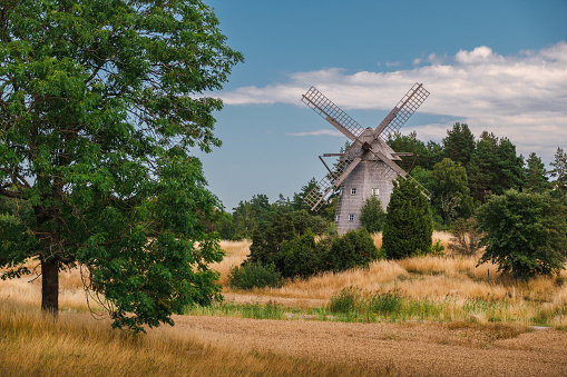 Typical Swedish wooden windmill in the south of Sweden, near Lidköping. Surrounded by some bushes and trees