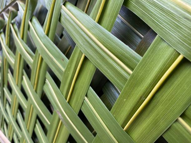 istock Green coconut leaves pattern weaving. close up 1455984910
