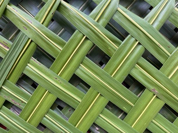 istock Green coconut leaves pattern weaving. close up 1455984936