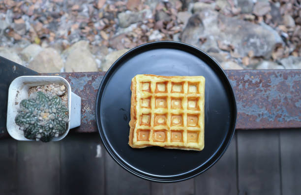 istock waffle or piece of waffle and cactus 1455986573