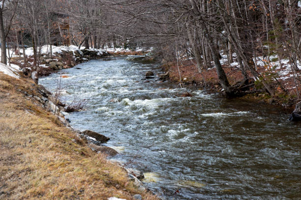 istock Snow melting into rushing streams of water 1455986943