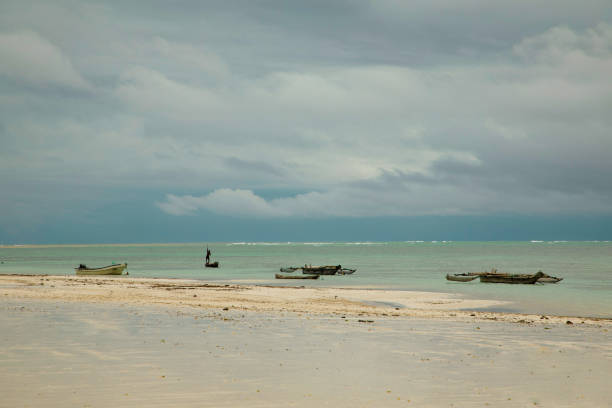 istock Kenyas sea life. Ocean shore. 1455988647