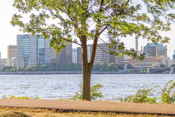 istock View of Charles River Park facing the River 1455993812