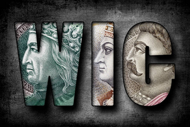 istock WIG Text Made of Polish Banknotes 1455996270