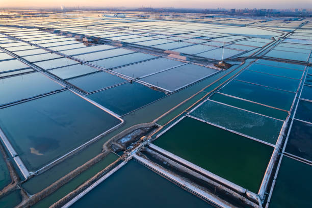istock Sunset at the salt field 1455997958