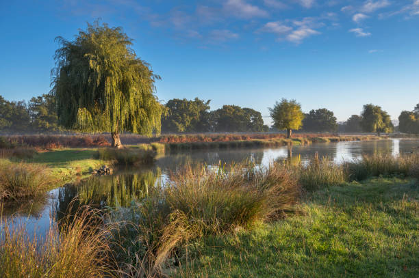 istock Leg of mutton pond Bushy Park 1456001933