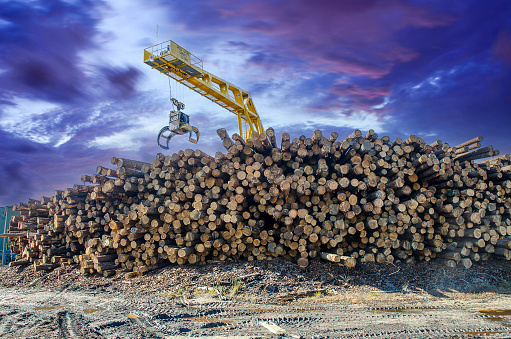 Crane forwarder machine during clearing of forested land. Wheeled harvester transports raw timber from felling site out. Harvesters, Forest Logging machines. Forestry forwarder on deforestation.