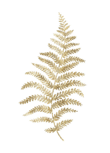 istock Gold leaves of fern. 1456002469