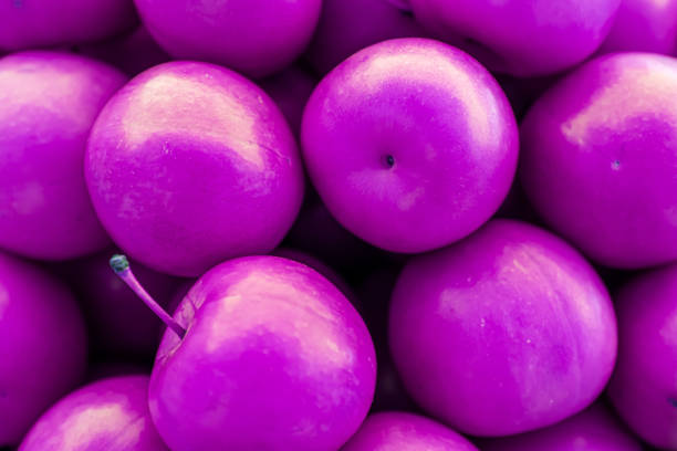 Pink plum fruits. Fruit background. Printable wallpaper for wall decorations.