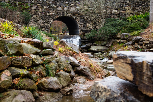 Stone bridge in the heart of the Cevennes National Park - France 