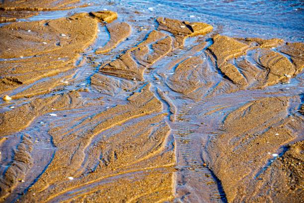 istock Aerial view of small streams on a beach at low tide 1456005014