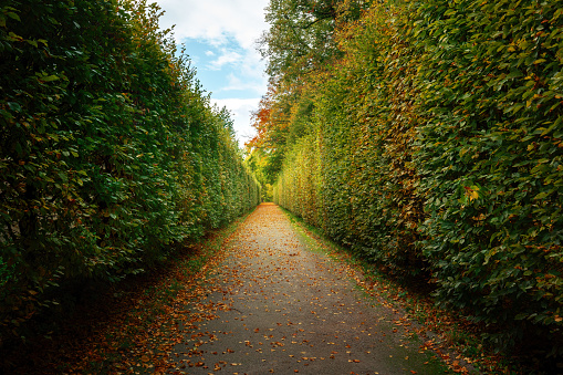 Green Corridor at Cesky Krumlov Castle Garden - Cesky Krumlov, Czech Republic