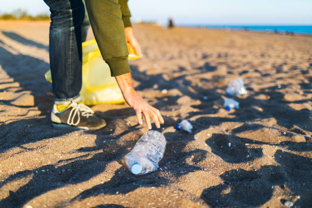 istock Volunteer taking out garbage from the beach 1456009686