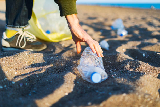 istock Volunteer taking out garbage from the beach 1456010259
