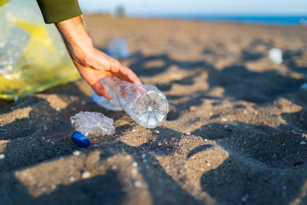 istock Volunteer taking out garbage from the beach 1456010359