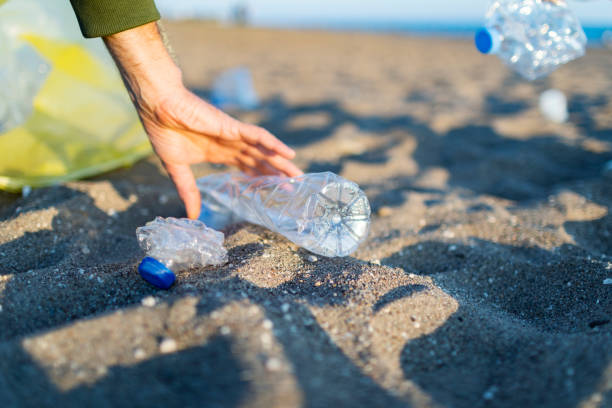 istock Volunteer taking out garbage from the beach 1456010365