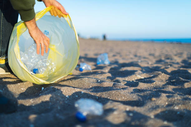 istock Volunteer taking out garbage from the beach 1456010488